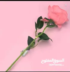  7 للبيع بالجمله  باقات ورد    و ورد جوري مضيئ