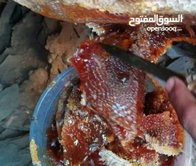  4 بيع منتجات عمانيه اصليه من العسل جبلي ولبان والبخور