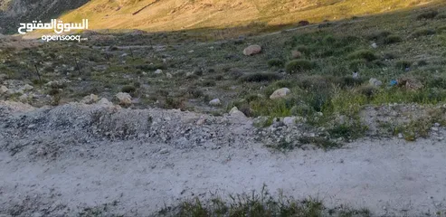  3 نص دنم أرض للبيع مباشرة من المالك بدون أي وسطاء تصنيف B مسموح البناء في أي وقت بدون قيود أو شروط