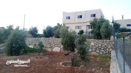  5 بيت طابقين للبيع في منطقة النبي هود