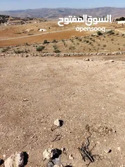  18 ارض للبيع جرش عنيبه قطعه مميزه جدا