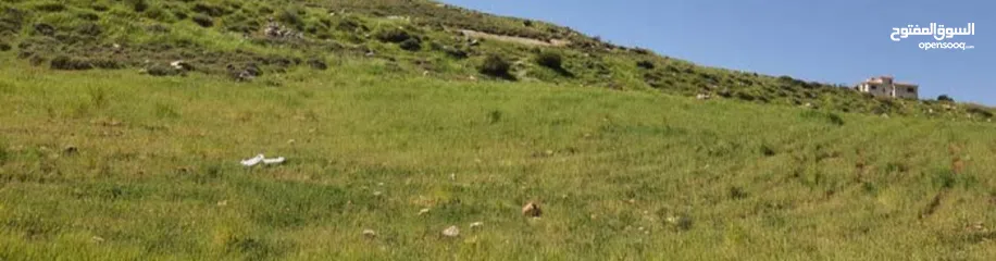 2 ارض عنيبه جرش اطلاله روعه و 3500 متر مربع 55الف كامل  القطعه قابل للتفاوض (مدخل خاص)