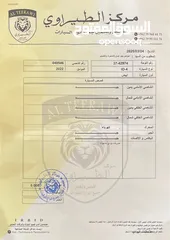  29 Volkswagen ID.4  x pro - 2022 Panorama متحركة فل كامل فحص كامل