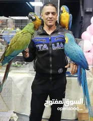  2 ترويض جميع انواع الطيور