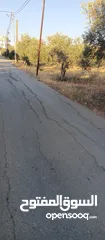  1 من اجمل مناطق كفر اسد  منطقه هادئه ومنظمه مزروعه أشجار زيتون ارض مثل الكف ما شاء الله تبارك الرحمن