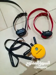  2 جهاز تدريب للكلاب