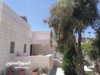  25 Fully Renovated Villa for rent in Shmesani ( Property 39160 )-174546151