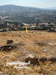  2 أرض بمساحة 2.257 م2 قرية صروت حوض البلد منطقة مرتفعة وإطلالة مميزة