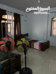 5 رووف مشطب بسعر شقة
