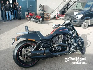  6 هارلي ديفيدسون نايت رود سبيشال (Night rod special Purchase design)