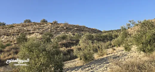  5 ارض زراعيه للبيع بني كنانه