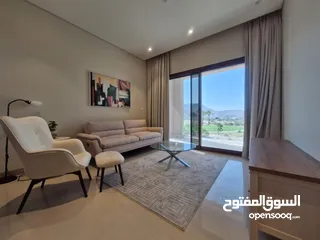  1 1 BR Fully Furnished Apartment for Rent – Jebel Sifa