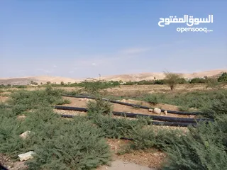  1 أرض للبيع 1000 م الغور منطقة الشميساني قرب إشارة الشونة والبنك الاسلامي