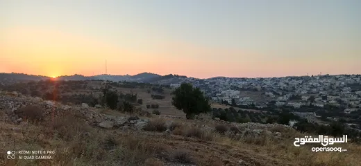  2 ارض للبيع مساحه 10 دونمات في عجلون /صخره