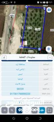  1 ارض للبيع في منطقه ايدون بالقرب من قصر العوادين