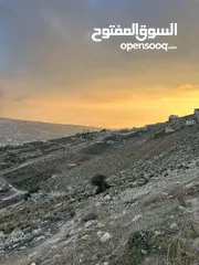  3 فرصة ذهبية لامتلاك أرض في أم الدنانير! أرض مميزة للبيع – استثمار ذكي أو سكن هادئ
