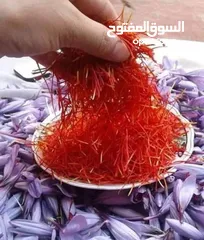  1 زعفران مغربي حر تاليوين