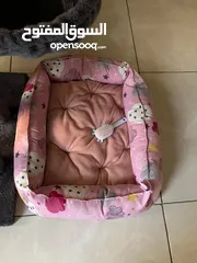  4 بيت ومنزل وشجرة قطط مع مشط ولعبه