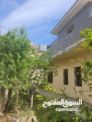  2 Appartement for Student near  Amman Arab University