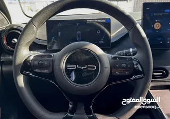  11 Byd e2 2023