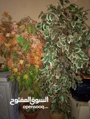  2 ستاندات حديد شبه جديد قابل للتفاوض