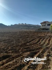  1 ارض للبيع صالحه للسكن