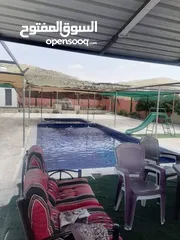  2 مزرعة وشاليه الباشا