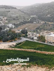  17 بيت العز والكرم