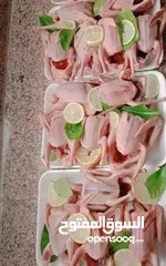  5 زغاليل لبيع حجم كبير طازج