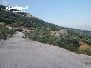  3 رامي ابو عماد