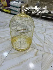  2 قفص دهبي مطاول