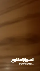  1 شقه للبيع ش.22