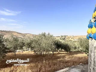  6 500 متر في بيرين حوض القصبات  بالقرب من شفا بدران