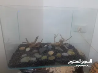  13 حوض سمك كريستال