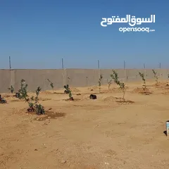  6 أرض بمساحة 3600m على طريق المطار ضمن كومباوند المطار 4