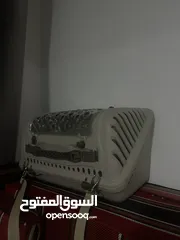  3 قط هملايا ذكر