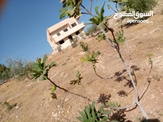  13 بيت مع مزرعه بمنطقه مميز للبيع
