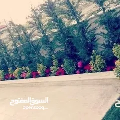  17 تنسيق الحدائق  نجيل بناء شلال نافورة باربكيو