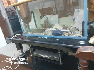  5 اثاث بيت مكون من جلسه عربيه غرفه نوم وطقم مورس