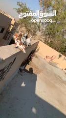  8 جواز و كش للبيع