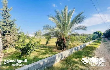  1 أرض 200 متر للبيع سوق  الجمعة / شرفة الملاحة  موقع ممتاز بالقرب من مسجد دحيم