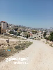  7 ارض مميزه جدا للبيع فورا مطل الجبيهه