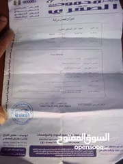  5 باص للبيع ستاركس