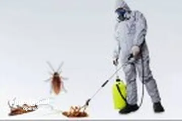  8 افضل شركة مكافحة الحشرات اباده تامه للحشرات من اول زياره