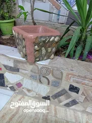  12 احواض زريعه اسمنتيه قابله للبدل