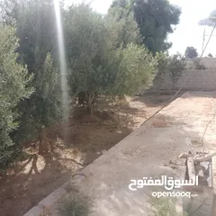  14 منزل للبيع قصر حلابات غربي قرب مصانع طيبه