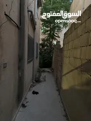  2 بيت طابقين مستقل للبيع على شارع مباشرة