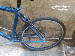  7 بسكليت للبيع