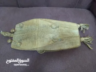 12 نوادر..حقيبة من جلد صغير تنين الكومودو