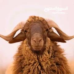  2 لحام متنقل